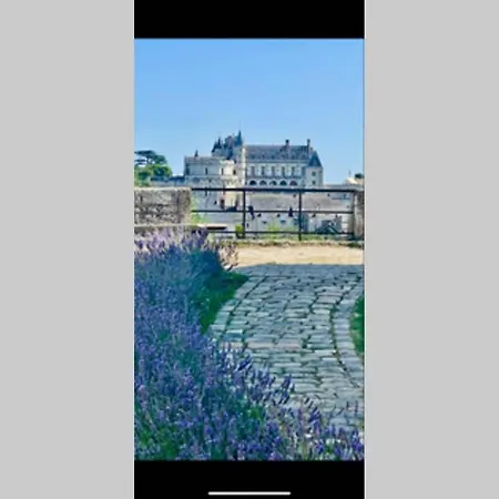 Le 17 Entre Gare Et Chateau Amboise Exterior photo