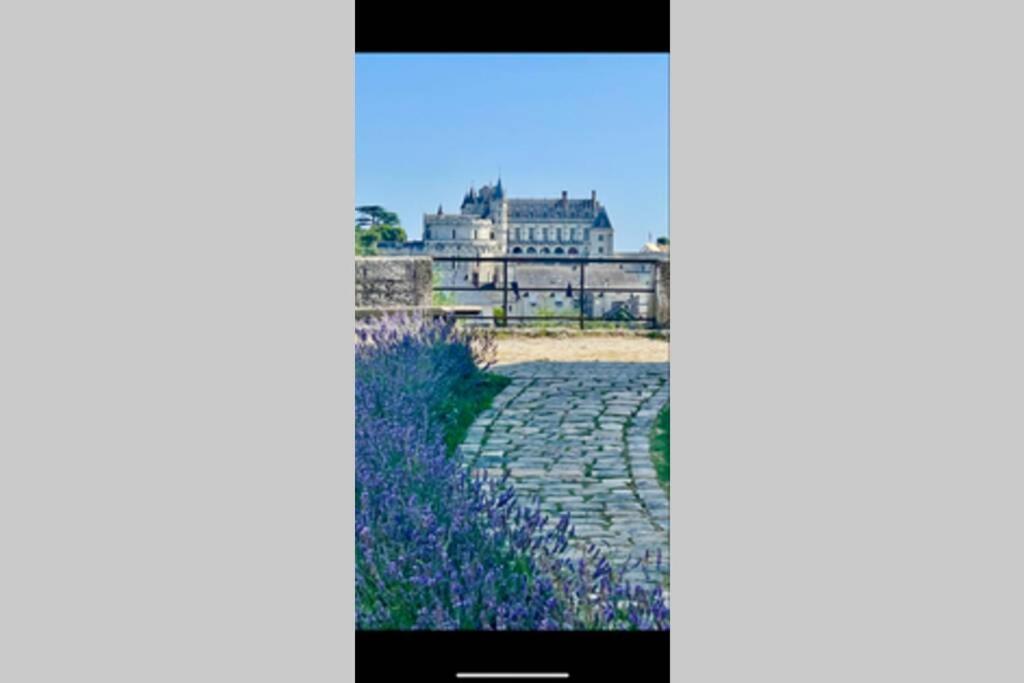 Le 17 Entre Gare Et Chateau * Amboise